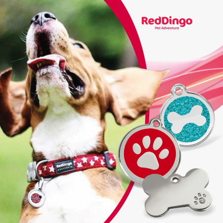 Red Dingo ID
