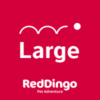 Red Dingo póráz large