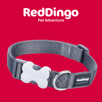 Red Dingo nyakörv