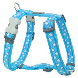 Red Dingo Stars Turquoise Medium Postroj